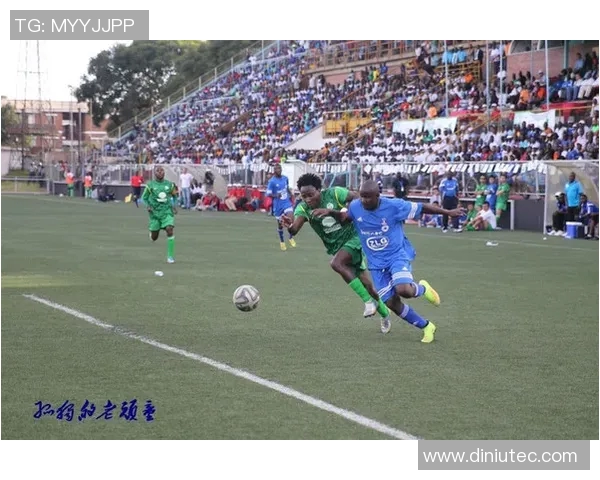 美国与巴西友谊赛精彩对决球迷热情高涨期待激烈较量