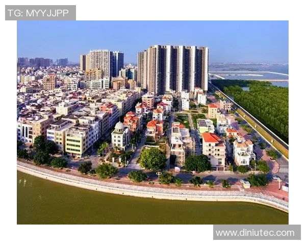 里耶卡与社会的碰撞：探索城市文化与社区发展的新视角